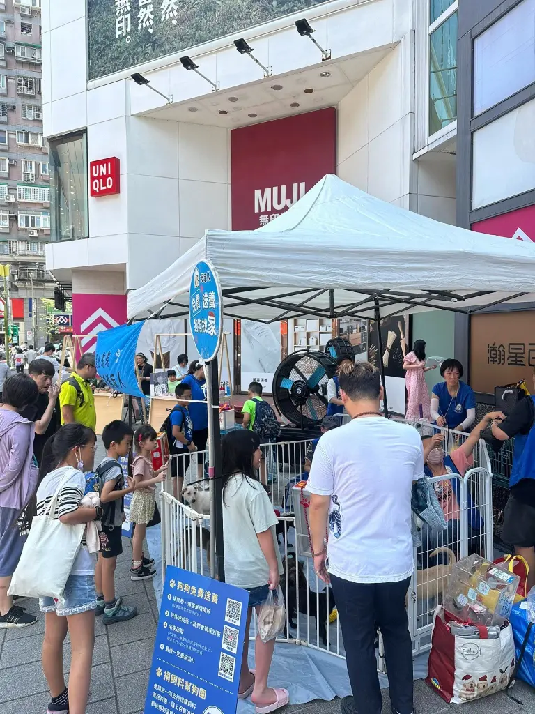 快報《集光小老闆市集x犬家人狗狗認養活動》
