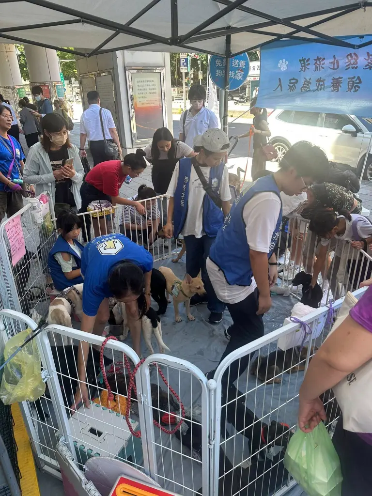 《犬家人 免費送養 狗狗找家x瀚星百貨公益活動》