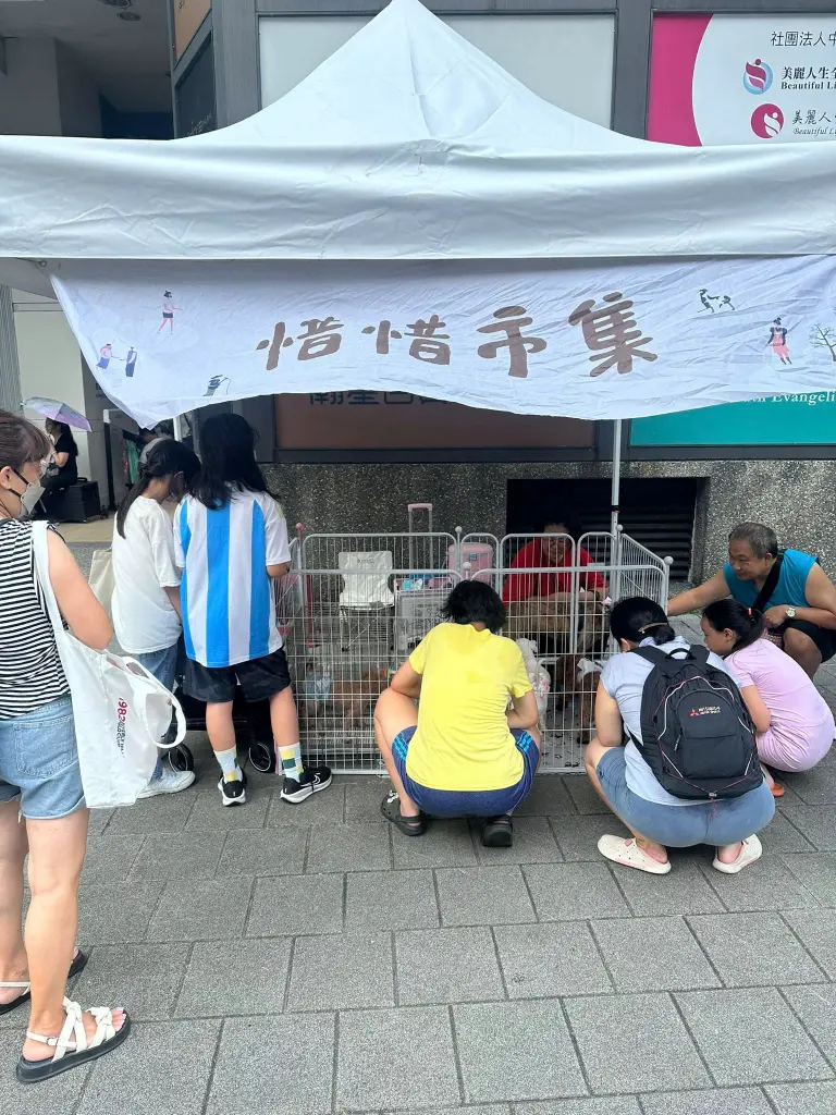 涼感快報《瀚星百貨x惜惜市集》