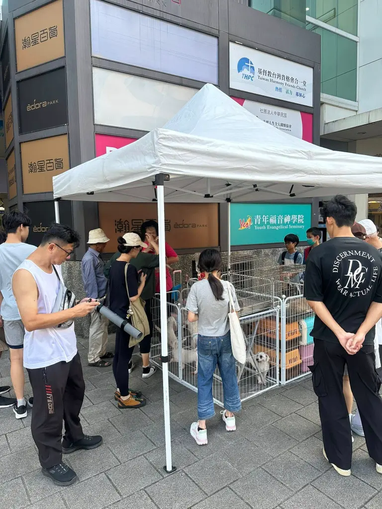 清涼一下《瀚星百貨x惜惜市集》