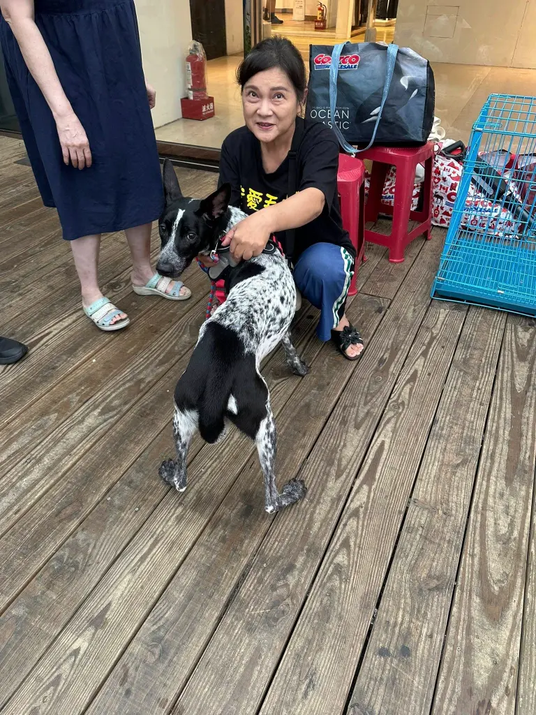 愛心活動《犬家人x瀚星百貨認養活動》
