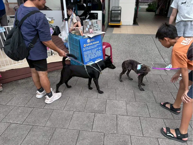愛心活動《犬家人x瀚星百貨認養活動》