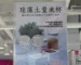 《DAISO大創 × 珪藻土量米杯》